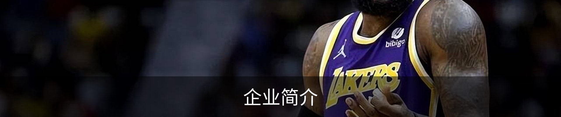 企业简介